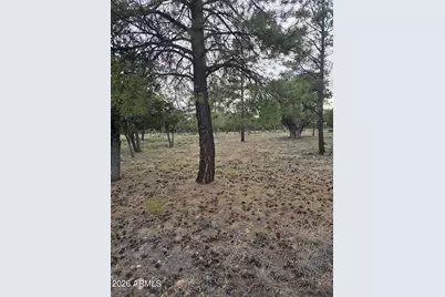 2584 Arapaho Drive #600, Happy Jack, AZ 86024 - Photo 3