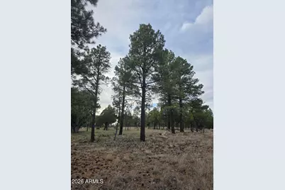2584 Arapaho Drive #600, Happy Jack, AZ 86024 - Photo 13