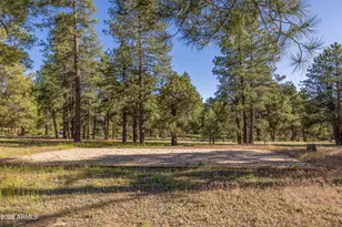 1344 Buckhorn Loop, Flagstaff, AZ 86001 - Photo 7