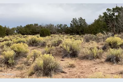 937/934 Woodland Valley Ranches -- #937 &n 934, Saint Johns, AZ 85936 - Photo 3