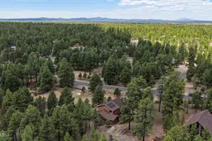 3705 Apache Dr, Happy Jack, AZ 86024 - Photo 55