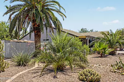 275 S Cypress Court, Chandler, AZ 85226 - Photo 5