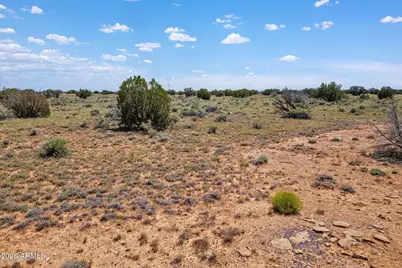5939 Mesa View Drive #137, Heber, AZ 85928 - Photo 3