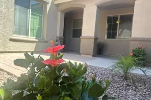 556 W Sweet Shrub Ave, Queen Creek, AZ 85140 - Photo 53