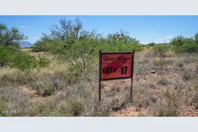 Tbd S Xxx Coatimundi Drive #17, Hereford, AZ 85615 - Photo 1