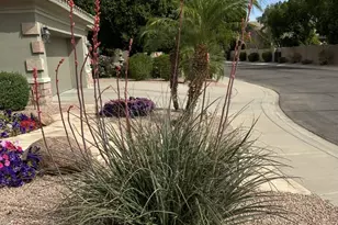 1050 N Kristin Ln, Chandler, AZ 85226 - Photo 43