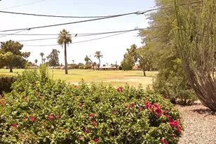 11644 N Balboa Dr, Sun City, AZ 85351 - Photo 13
