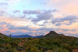 11331 E Dale Ln, Scottsdale, AZ 85262 - Photo 37