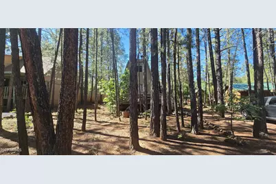 5911 Forty Niner Way, Pinetop, AZ 85935 - Photo 3