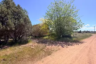2758 Zane Grey Blvd, Overgaard, AZ 85933 - Photo 19