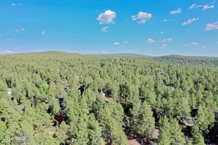 1255 E Thunderbird Trl, Munds Park, AZ 86017 - Photo 73
