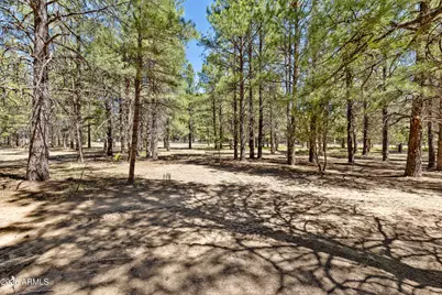 763 E Flat Rock Ridge, Flagstaff, AZ 86001 - Photo 67
