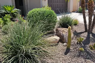 1807 E Alegria Rd, Queen Creek, AZ 85140 - Photo 7