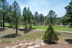 2911 S Solitaires Canyon Dr, Flagstaff, AZ 86005 - Photo 73