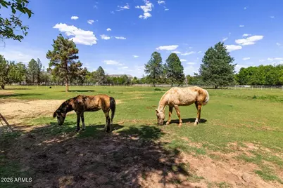 4000 W Mahoney Road #1, Camp Verde, AZ 86322 - Photo 7