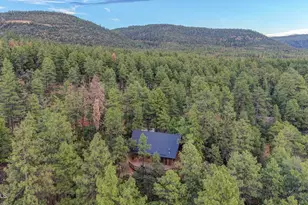 5360 N Wild Turkey Circle, Pine, AZ 85544 - Photo 5