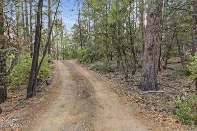 5360 N Wild Turkey Circle, Pine, AZ 85544 - Photo 45
