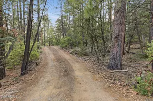 5360 N Wild Turkey Circle, Pine, AZ 85544 - Photo 45