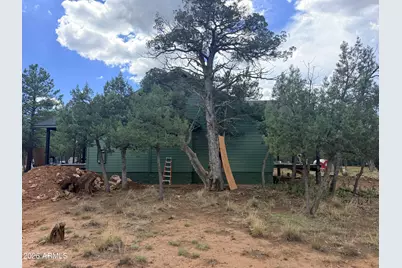 3266 Durango Drive, Happy Jack, AZ 86024 - Photo 3