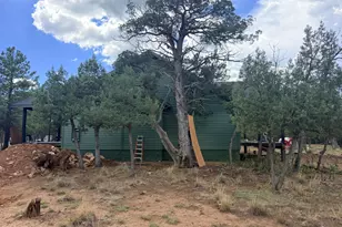 3266 Durango Dr, Happy Jack, AZ 86024 - Photo 3