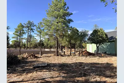 3266 Durango Drive, Happy Jack, AZ 86024 - Photo 5