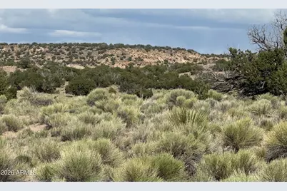 N6581 N N6581 -- #765, Saint Johns, AZ 85936 - Photo 3