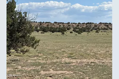 N6581 N N6581 -- #765, Saint Johns, AZ 85936 - Photo 5