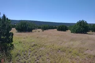 71 Acr 8001 --, Concho, AZ 85924 - Photo 1