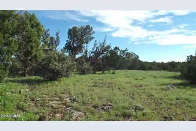 71 Acr 8001 -- #632, Concho, AZ 85924 - Photo 5