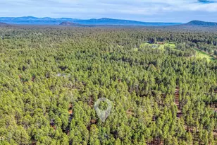 3263 Wild Rose Ln, Pinetop, AZ 85935 - Photo 31