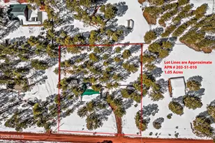 1678 N Spring Valley Rd, Parks, AZ 86018 - Photo 3