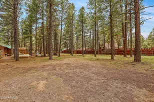 1678 N Spring Valley Rd, Parks, AZ 86018 - Photo 31
