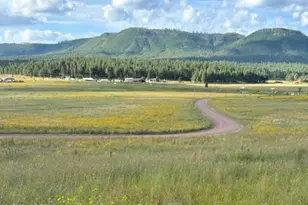 27 County Road 2330 --, Alpine, AZ 85920 - Photo 1
