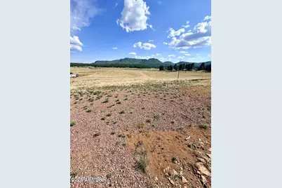 27 County Road 2330 -- #32, Alpine, AZ 85920 - Photo 9