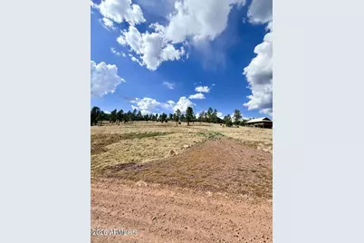 27 County Road 2330 -- #32, Alpine, AZ 85920 - Photo 3