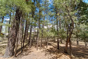 1261 S Spruce Ln, Show Low, AZ 85901 - Photo 45