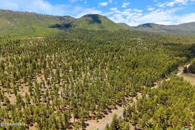 98 County Road  2266 -- #n/a, Alpine, AZ 85920 - Photo 11