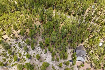 98 County Road  2266 -- #n/a, Alpine, AZ 85920 - Photo 17