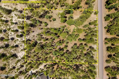 98 County Road  2266 -- #n/a, Alpine, AZ 85920 - Photo 3