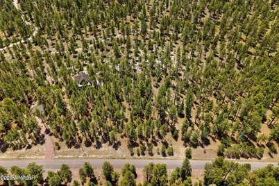 98 County Road  2266 -- #n/a, Alpine, AZ 85920 - Photo 7