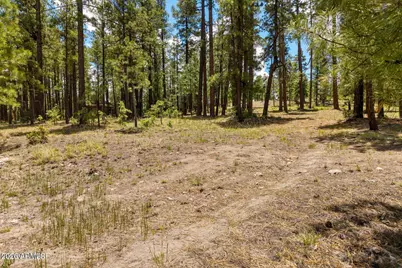 98 County Road  2266 -- #n/a, Alpine, AZ 85920 - Photo 5
