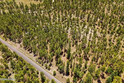 98 County Road  2266 -- #n/a, Alpine, AZ 85920 - Photo 9
