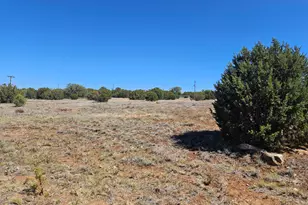 2429 Bourdon Rnch Rd, Show Low, AZ 85901 - Photo 1