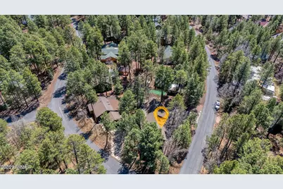 4816 Black Panther Loop, Pinetop, AZ 85935 - Photo 3