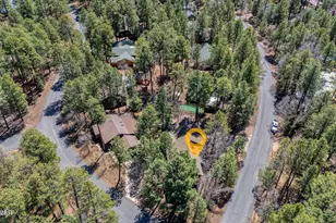 4816 Black Panther Loop, Pinetop, AZ 85935 - Photo 3