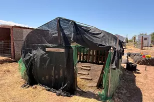 9153 N Central Hwy, Mc Neal, AZ 85617 - Photo 39