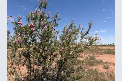 9153 N Central Highway, Mc Neal, AZ 85617 - Photo 43