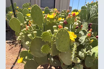 9153 N Central Highway, Mc Neal, AZ 85617 - Photo 11