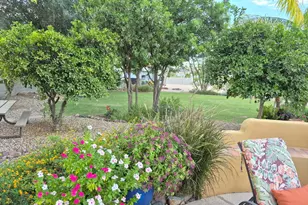 23712 N 104th Ave, Peoria, AZ 85383 - Photo 53