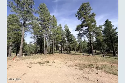 3698 S Woodland Hills Drive #383, Flagstaff, AZ 86005 - Photo 15